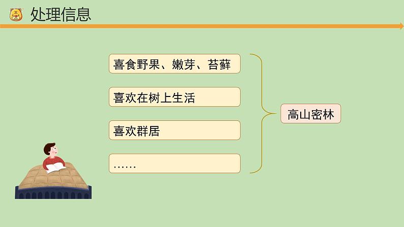 科学大象版六下1.2《金丝猴的家》同步课件第5页