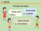 科学大象版六下1.4《植物与环境》同步课件