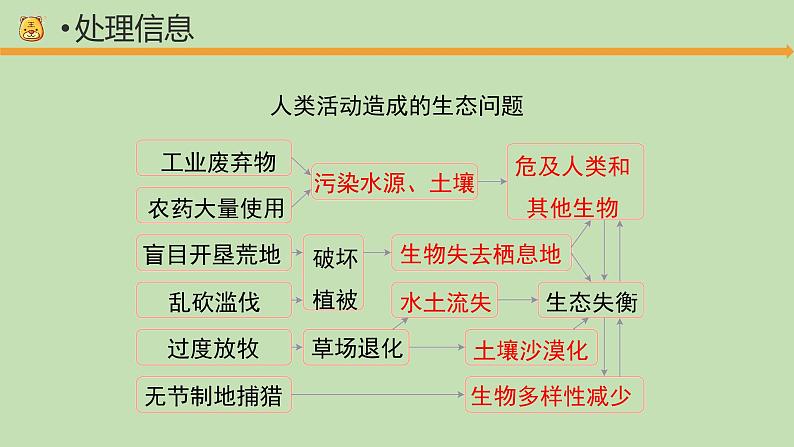 科学大象版六下4.3《人类发展与生态危机》同步课件04