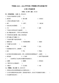 2023-2024学年湖北省十堰市竹溪县苏教版六年级上册期末考试科学试卷（原卷版+解析版）