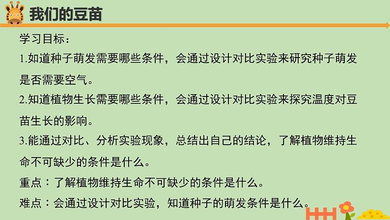 科学大象版四下1.1《我们的豆苗》同步课件第2页