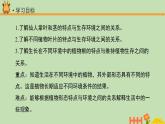 科学大象版四下1.2《奇妙的植物》同步课件