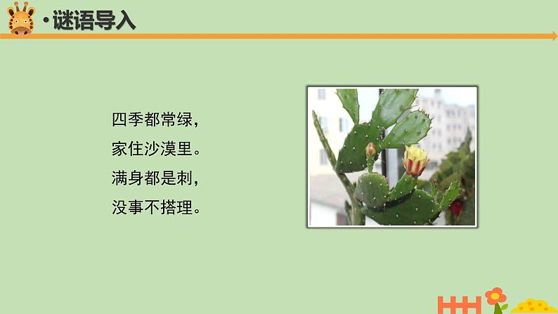 科学大象版四下1.2《奇妙的植物》同步课件03