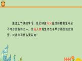 科学大象版四下1.2《奇妙的植物》同步课件
