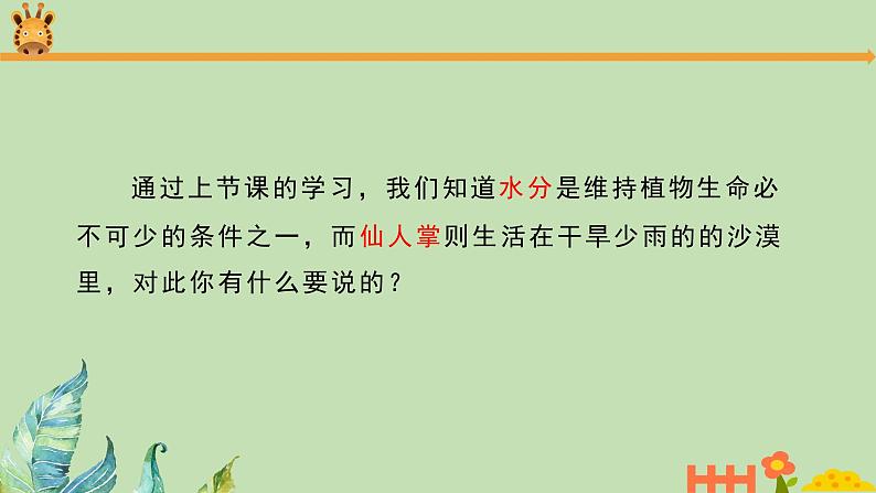 科学大象版四下1.2《奇妙的植物》同步课件第4页