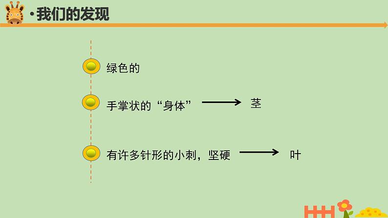 科学大象版四下1.2《奇妙的植物》同步课件第6页