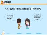 大象版科学四下1.5《和谐相处是一家》精选课件