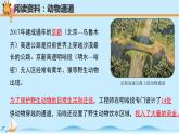 大象版科学四下1.5《和谐相处是一家》精选课件