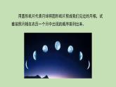 科学大象版四下3.5《月有阴晴圆缺》同步课件