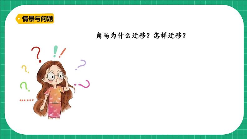 【核心素养】冀教版小学科学六年级上册     16.角马的迁移   课件ppt+ 教案05