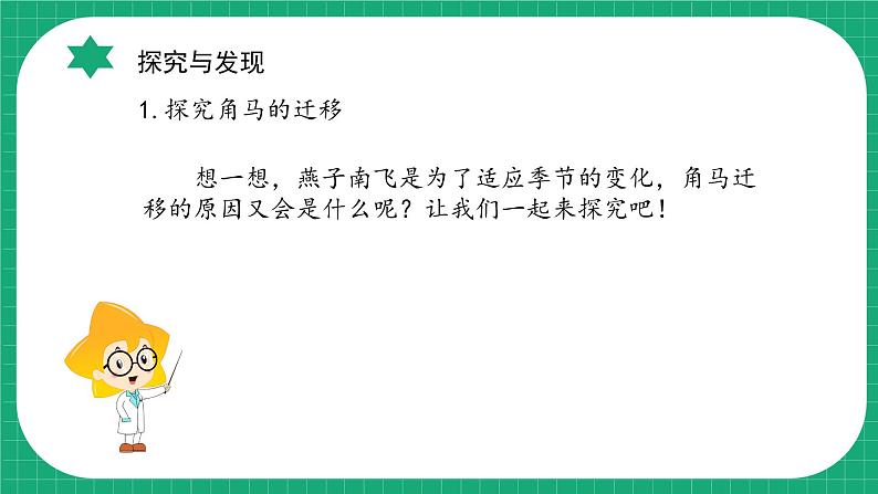 【核心素养】冀教版小学科学六年级上册     16.角马的迁移   课件ppt+ 教案07