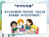 科學(xué)大象版（2017秋）三下3.5《碩果累累》同步課件