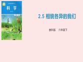 教科版科学六下2.5《相貌各异的我们》课件+教学设计+素材