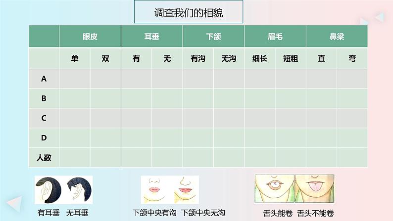 教科版科学六下2.5《相貌各异的我们》课件+教学设计+素材07