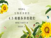 教科版六年级科学上册第四单元《生物的多样性-相貌各异的我们》PPT课件