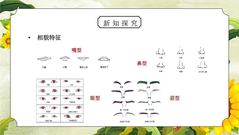 教科版六年级科学上册第四单元《生物的多样性-相貌各异的我们》PPT课件04