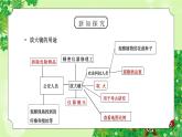 教科版六年级科学下册第一单元《微小世界-放大镜》PPT课件