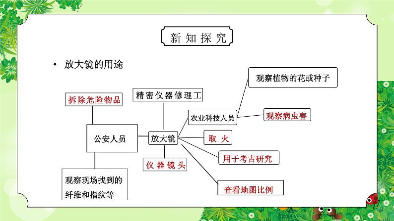 教科版六年级科学下册第一单元《微小世界-放大镜》PPT课件第4页