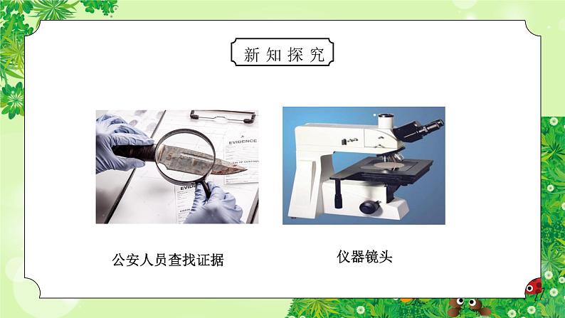 教科版六年级科学下册第一单元《微小世界-放大镜》PPT课件第7页