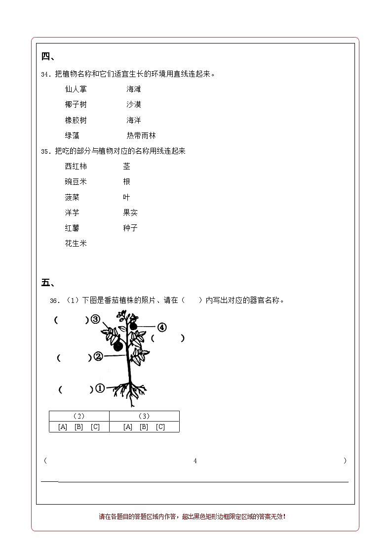 苏教版科学（提高卷02）-2023-2024学年三年级下册期中测试卷.zip02