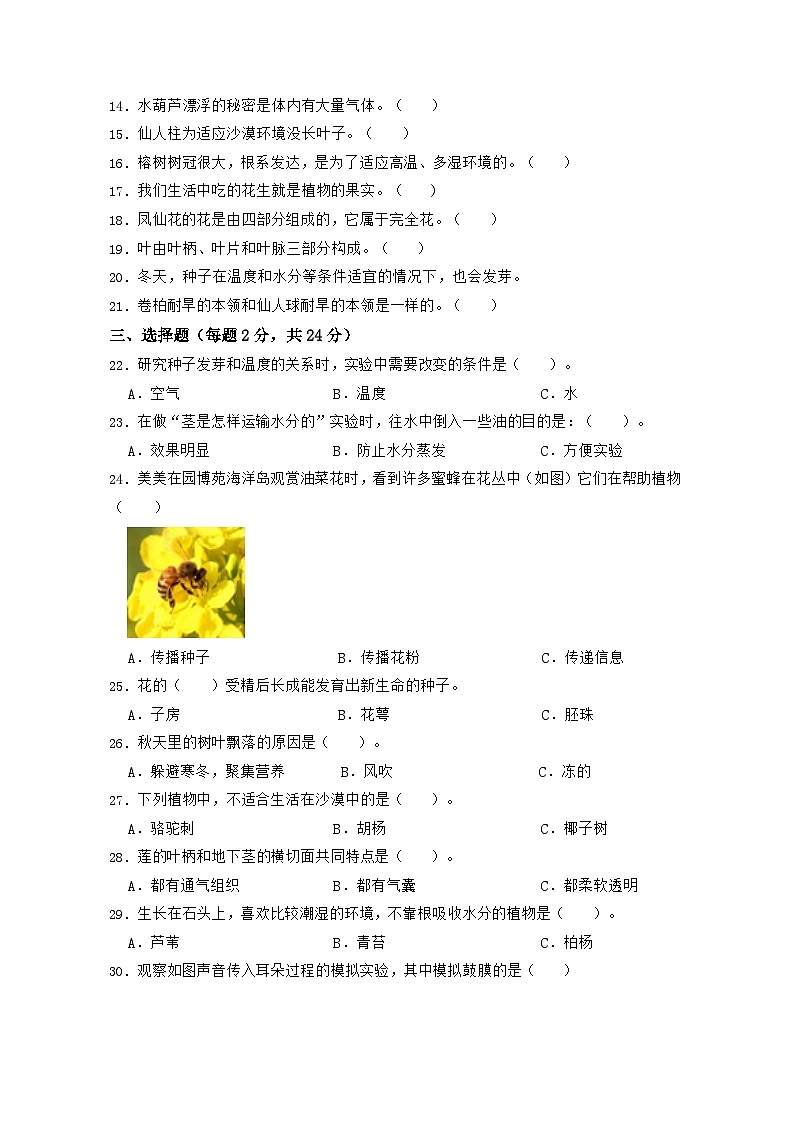 苏教版科学（提高卷02）-2023-2024学年三年级下册期中测试卷.zip02