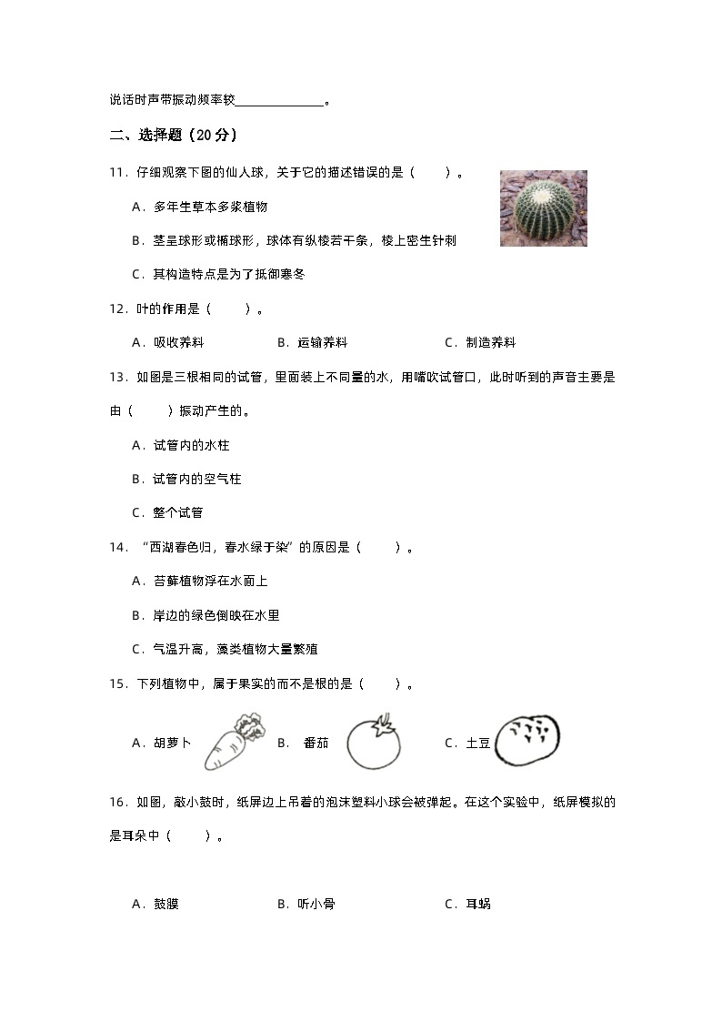 苏教版科学（基础卷01）-2023-2024学年三年级下册期中测试卷02