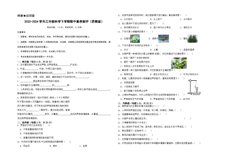 苏教版科学（基础卷02）-2023-2024学年三年级下册期中测试卷01