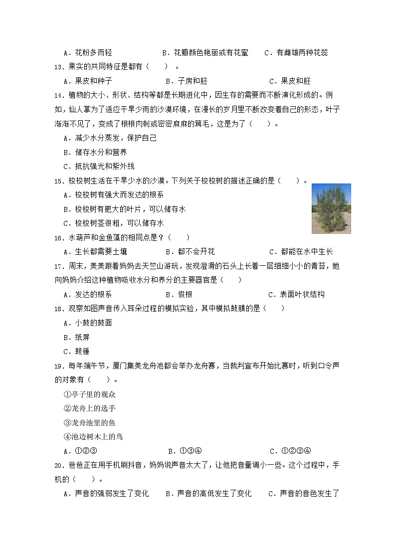 苏教版科学（提高卷01）-2023-2024学年三年级下册期中测试卷02