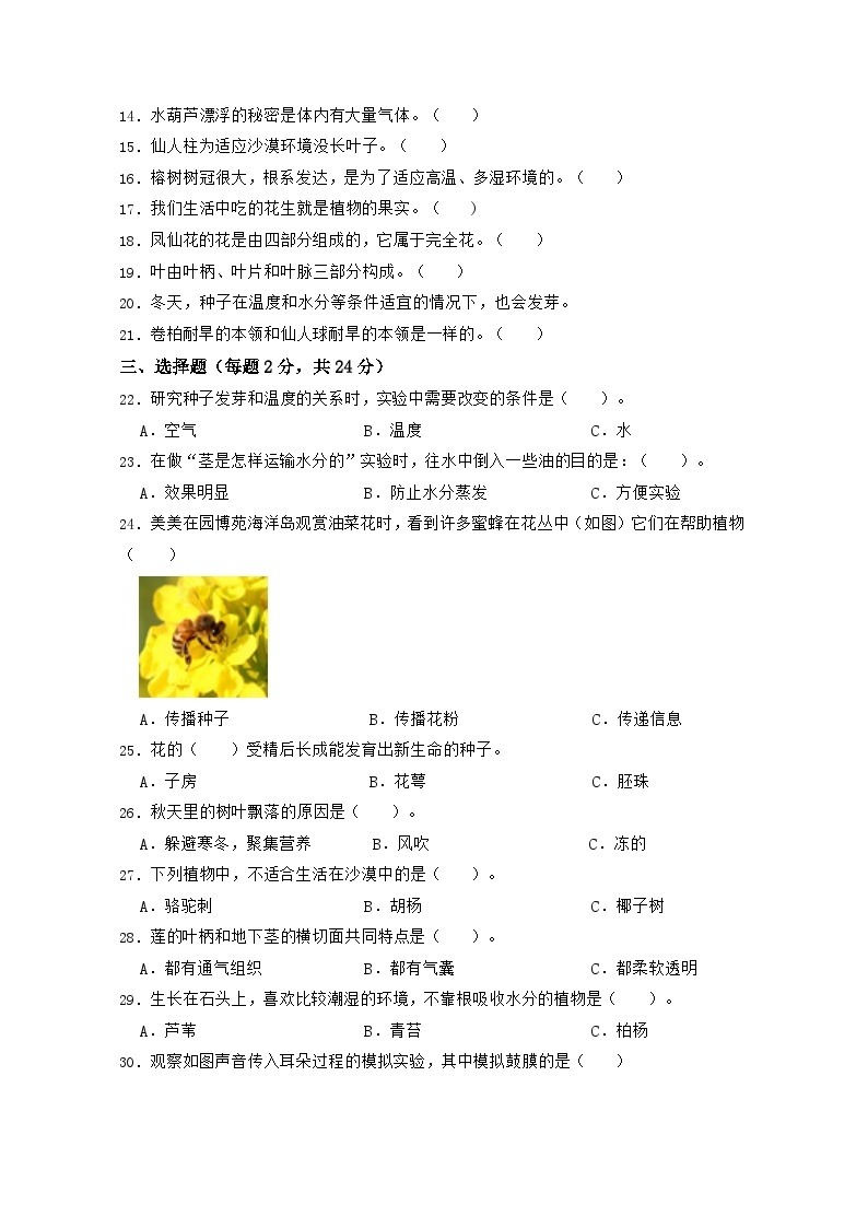 苏教版科学（提高卷02）-2023-2024学年三年级下册期中测试卷02