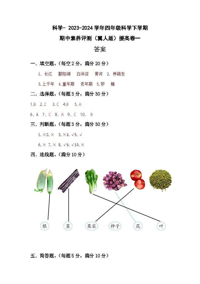 2023-2024学年（冀人版）小学科学四年级下册期中测试卷（提高卷01）01