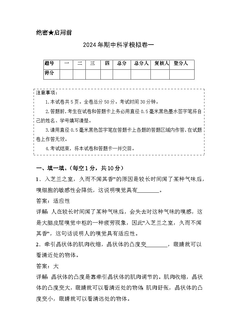 2023-2024学年六年级科学下册期中测试卷（基础卷01）01