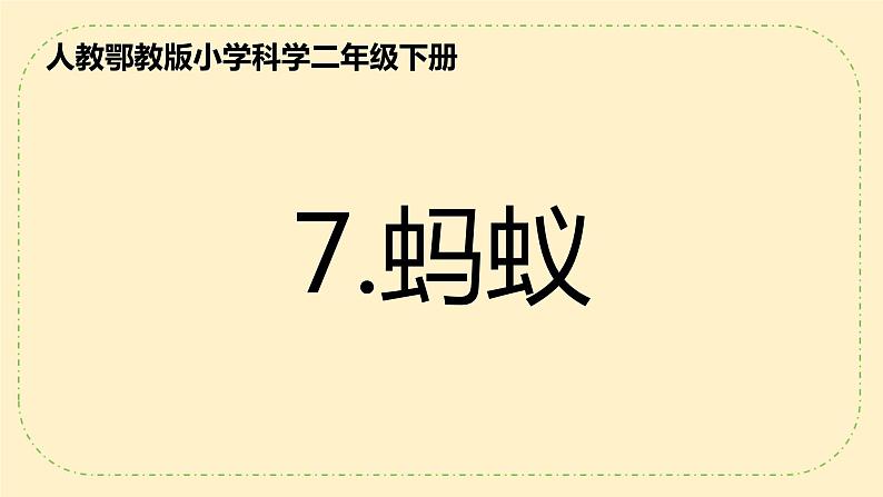 人教鄂教版科学7《蚂蚁》PPT课件第1页