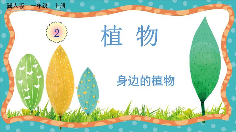 【核心素养】冀人版小学科学一年级 上册 4.身边的植物 课件+教案（含教学反思）01