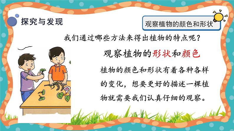 【核心素养】冀人版小学科学一年级 上册 5.认识植物 课件+教案（含教学反思）08