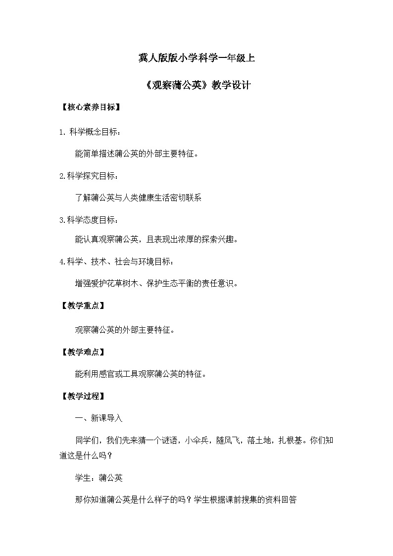 【核心素养】冀人版小学科学一年级 上册 6.观察蒲公英 课件+教案（含教学反思）01