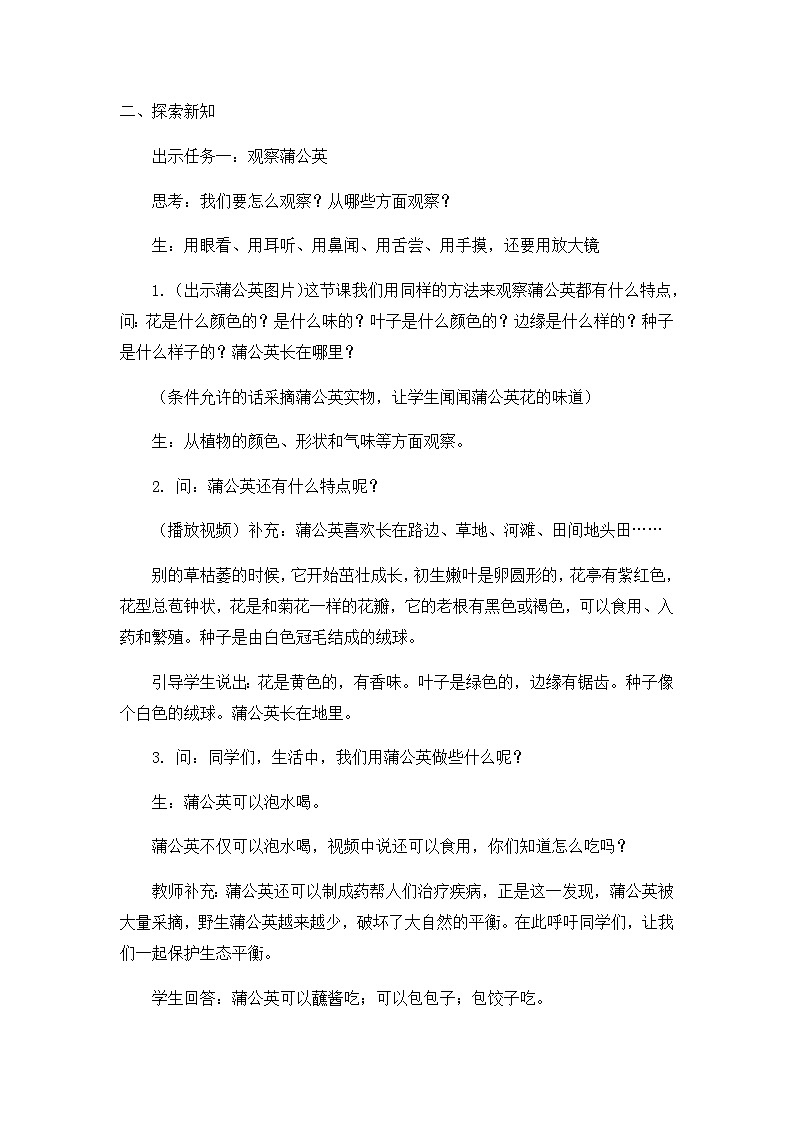 【核心素养】冀人版小学科学一年级 上册 6.观察蒲公英 课件+教案（含教学反思）02
