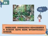 教科版科学六下2.7《保护生物多样性》课件+教学设计+素材