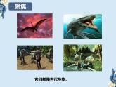 教科版科学六下2.6《古代生物多样性》课件+教学设计+素材