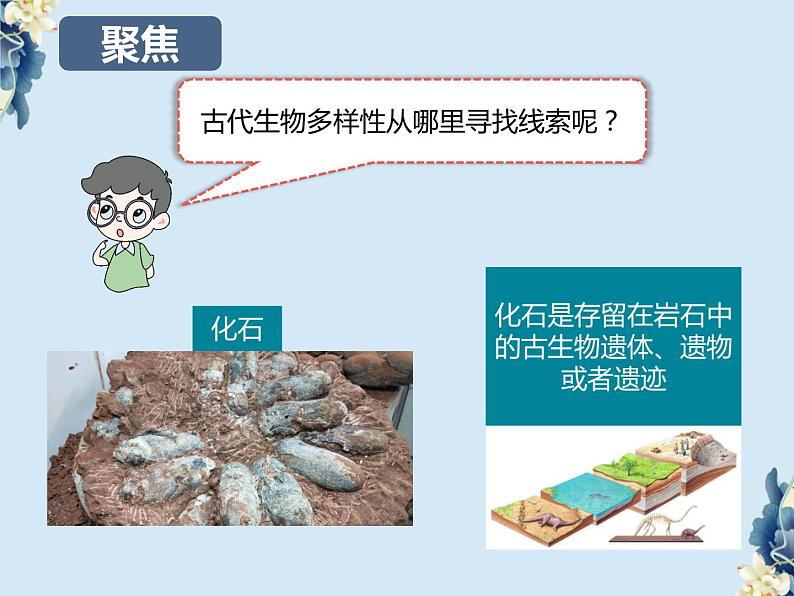 教科版科学六下2.6《古代生物多样性》课件+教学设计+素材04