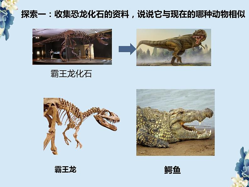 教科版科学六下2.6《古代生物多样性》课件+教学设计+素材08