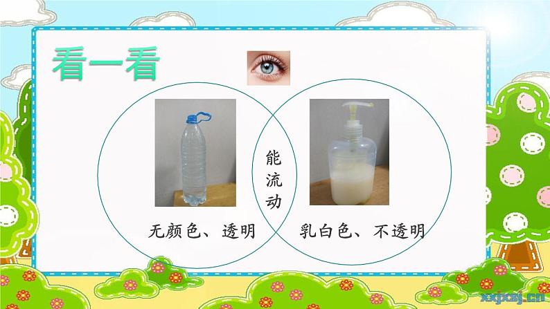 教科版一年级下册《我们周围的物体》单元第5课《观察一瓶水》课件第4页