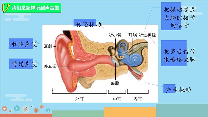 第一单元 声音 综合与复习 课件 小学科学教科版四年级上册06