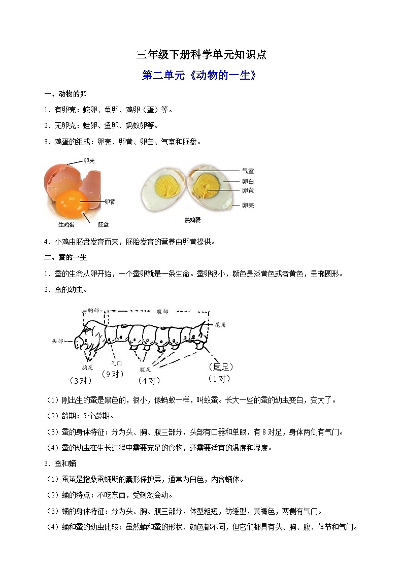 教科版三年级下册科学第二单元《动物的一生》知识点01