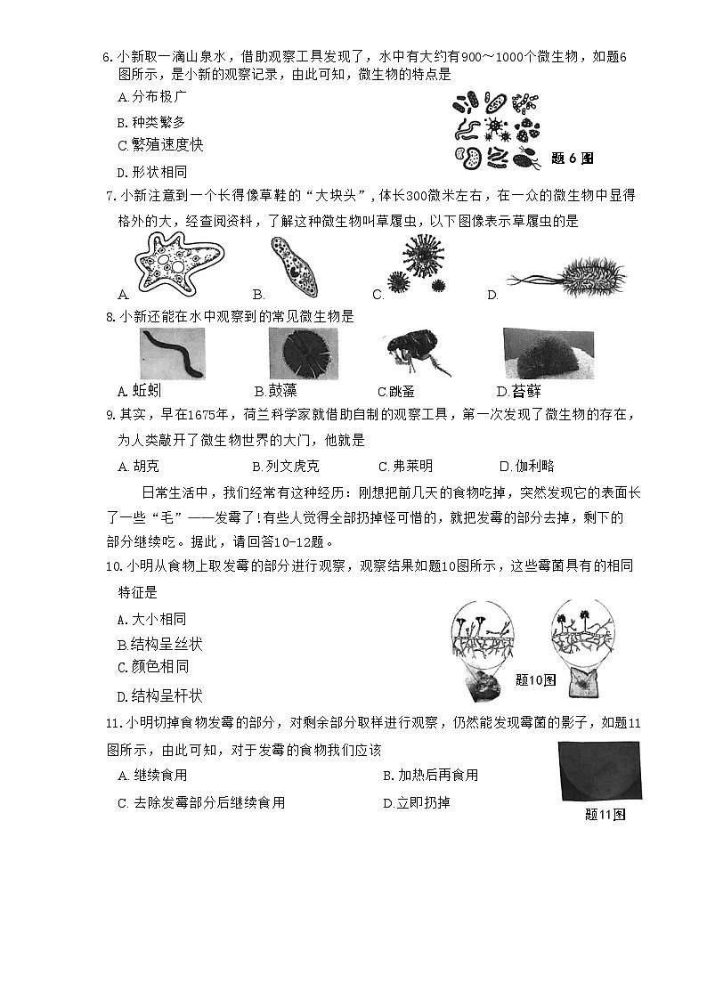 福建省厦门市海沧区北附学校2023-2024学年五年级下学期科学期中试卷第2页