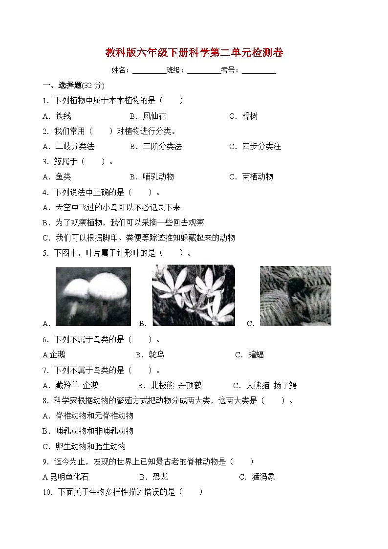 教科版六年级下册科学第二单元检测卷（含答案）第1页