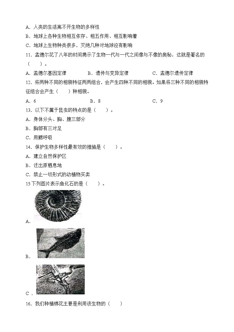 教科版六年级下册科学第二单元检测卷（含答案）第2页