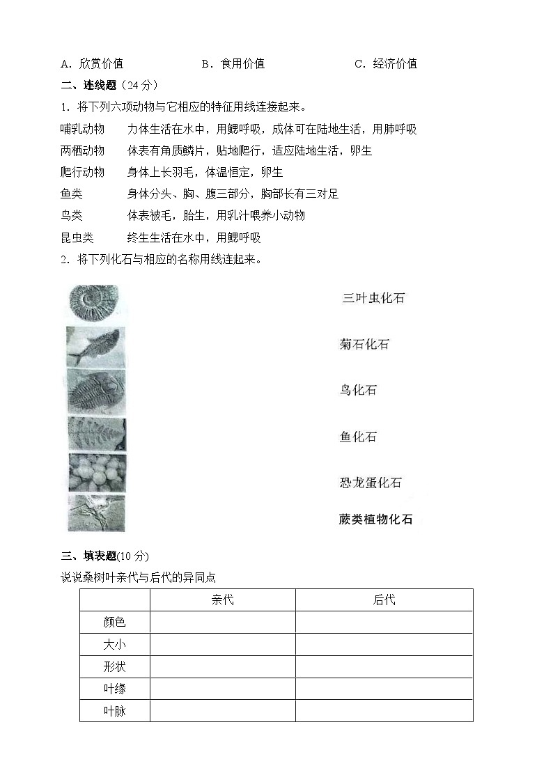 教科版六年级下册科学第二单元检测卷（含答案）第3页