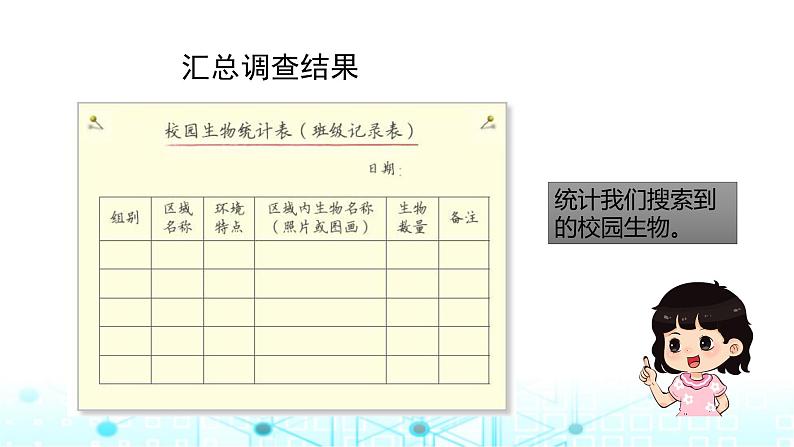 教科版小学六年级科学下册2-2制作校园生物分布图课件03