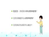 教科版小学六年级科学下册2-2制作校园生物分布图课件