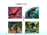 教科版小学六年级科学下册2-6古代生物的多样性课件